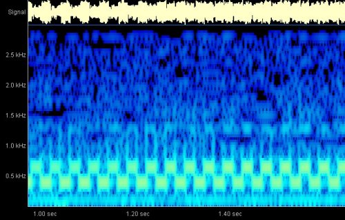 20 Min Idler Spectrum