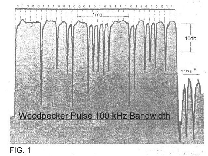 Woodpecker Pulse